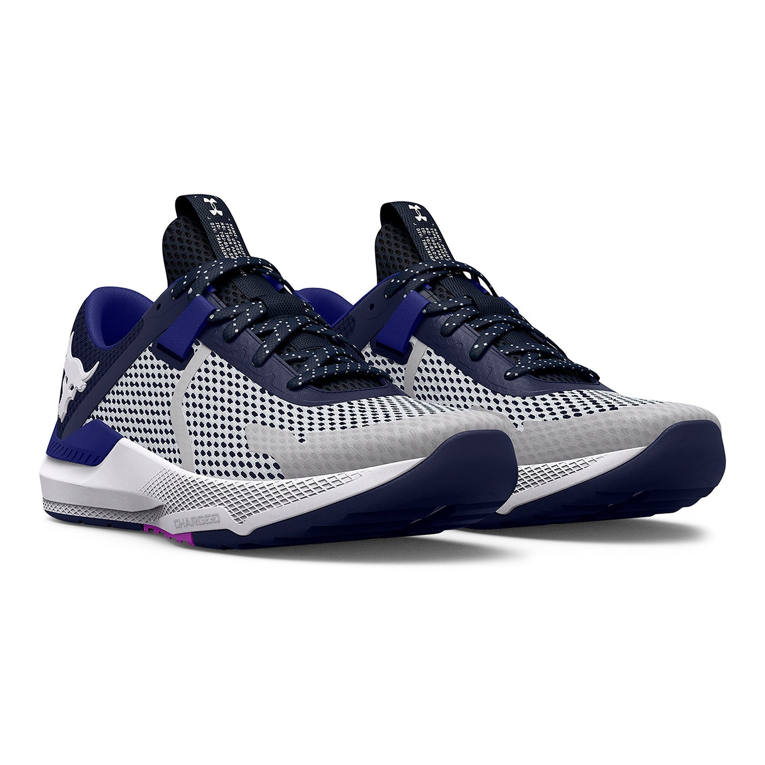 Zapatillas de entrenamiento UA Project Rock BSR 2 Unisex