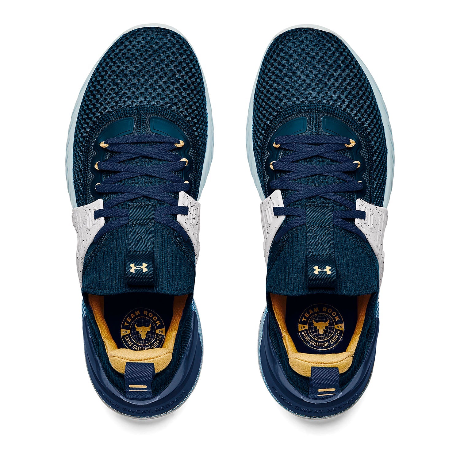 Zapatillas de entrenamiento Project Rock 4 Team Rock para hombre