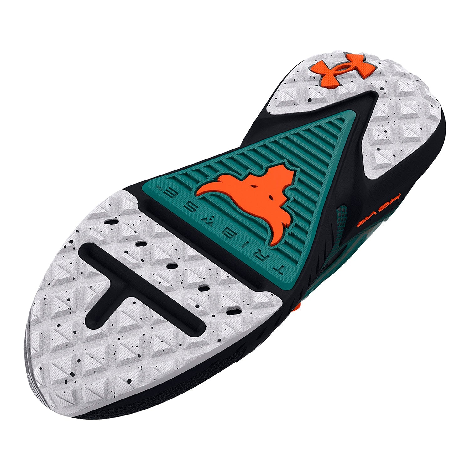 Zapatillas de entrenamiento unisex Project Rock 5 "305"